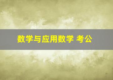 数学与应用数学 考公